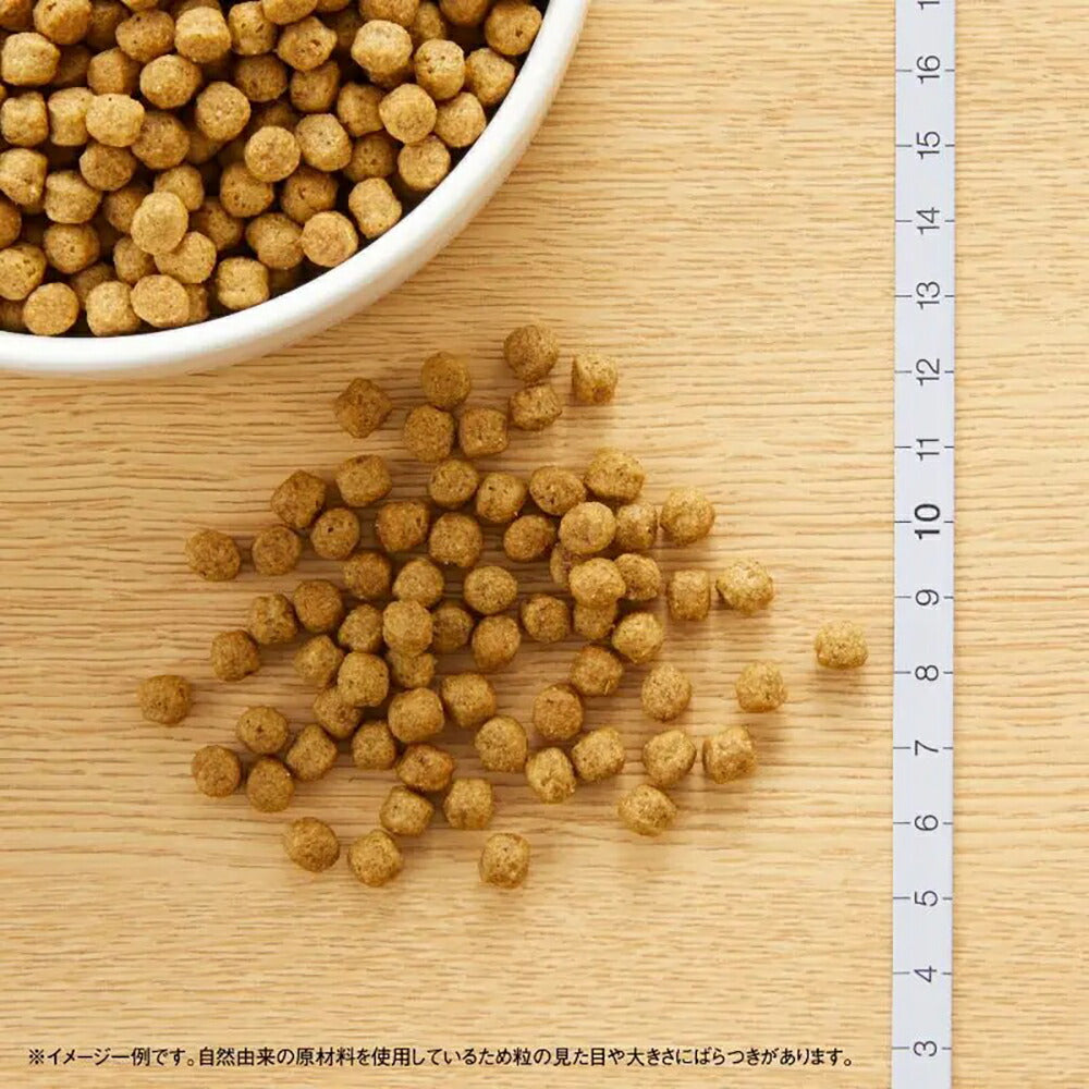 ニュートロ ナチュラルチョイス プロテインシリーズ 超小型犬～小型犬 エイジングケア ラム＆玄米 1kg (犬・ドッグ)[正規品]