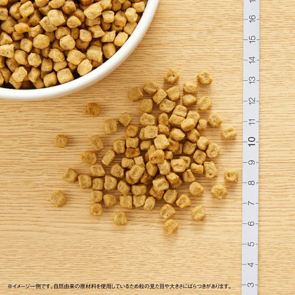 【1kg×10袋】ニュートロ ナチュラルチョイス スペシャルケア 避妊・去勢犬 超小型犬～小型犬 エイジングケア チキン＆玄米 (犬・ドッグ)[正規品]