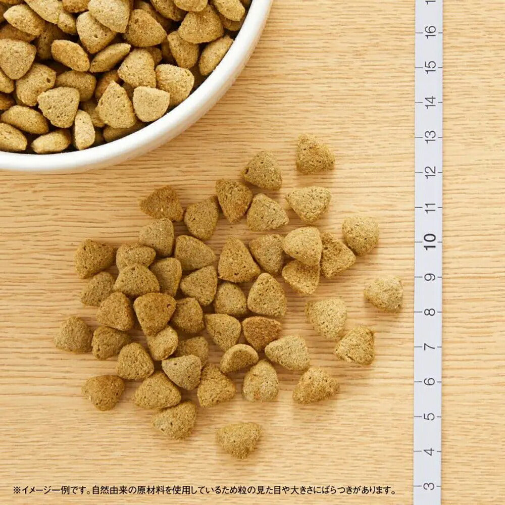 【4kg×4袋】ニュートロ ナチュラルチョイス スペシャルケア 減量用 全犬種 成犬用 ラム＆玄米 (犬・ドッグ)[正規品]