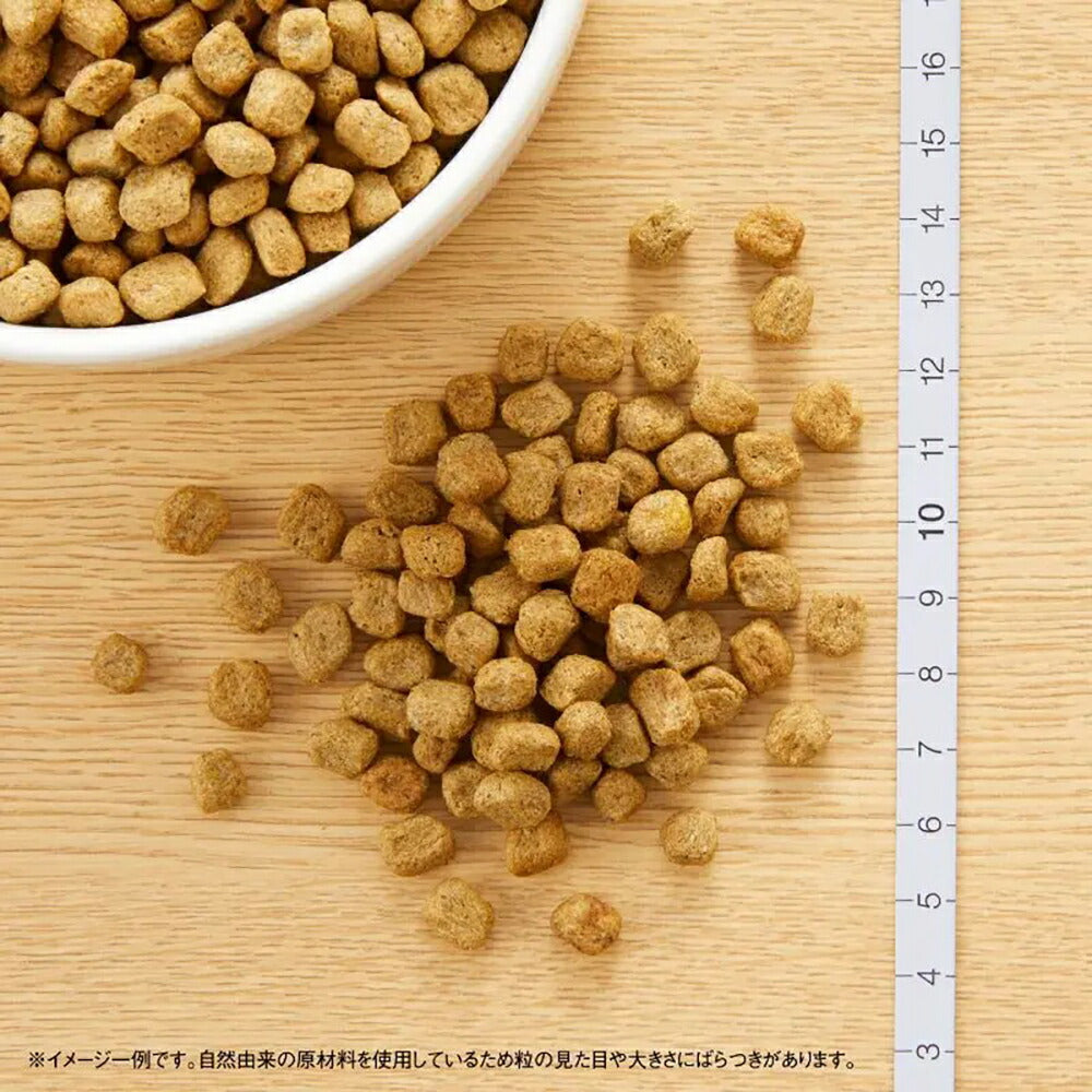 ニュートロ ナチュラルチョイス スペシャルケア 減量用 超小型犬～小型犬 成犬用 チキン＆玄米 3kg (犬・ドッグ)[正規品]