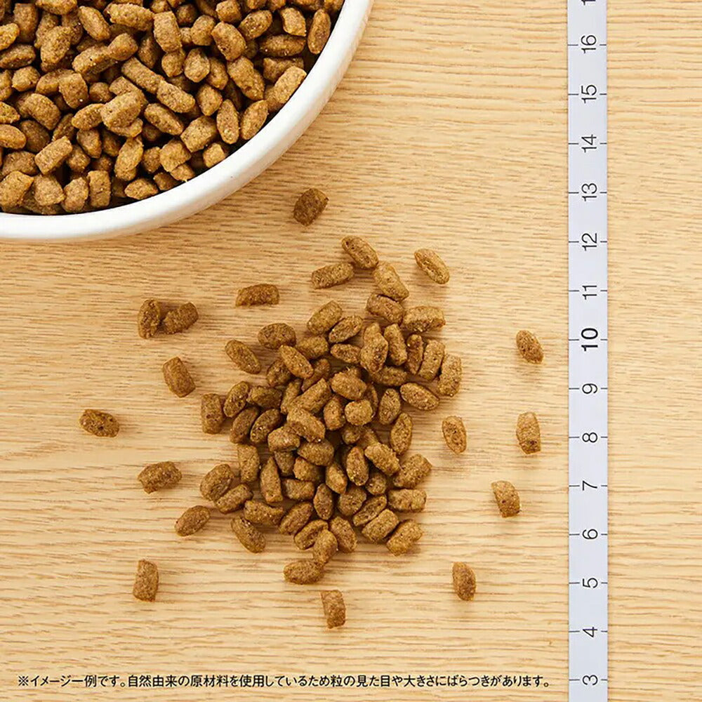 犬用品 【新品2袋】ニュートロ シュプレモ 子犬用 全犬種用 3kg 賞味