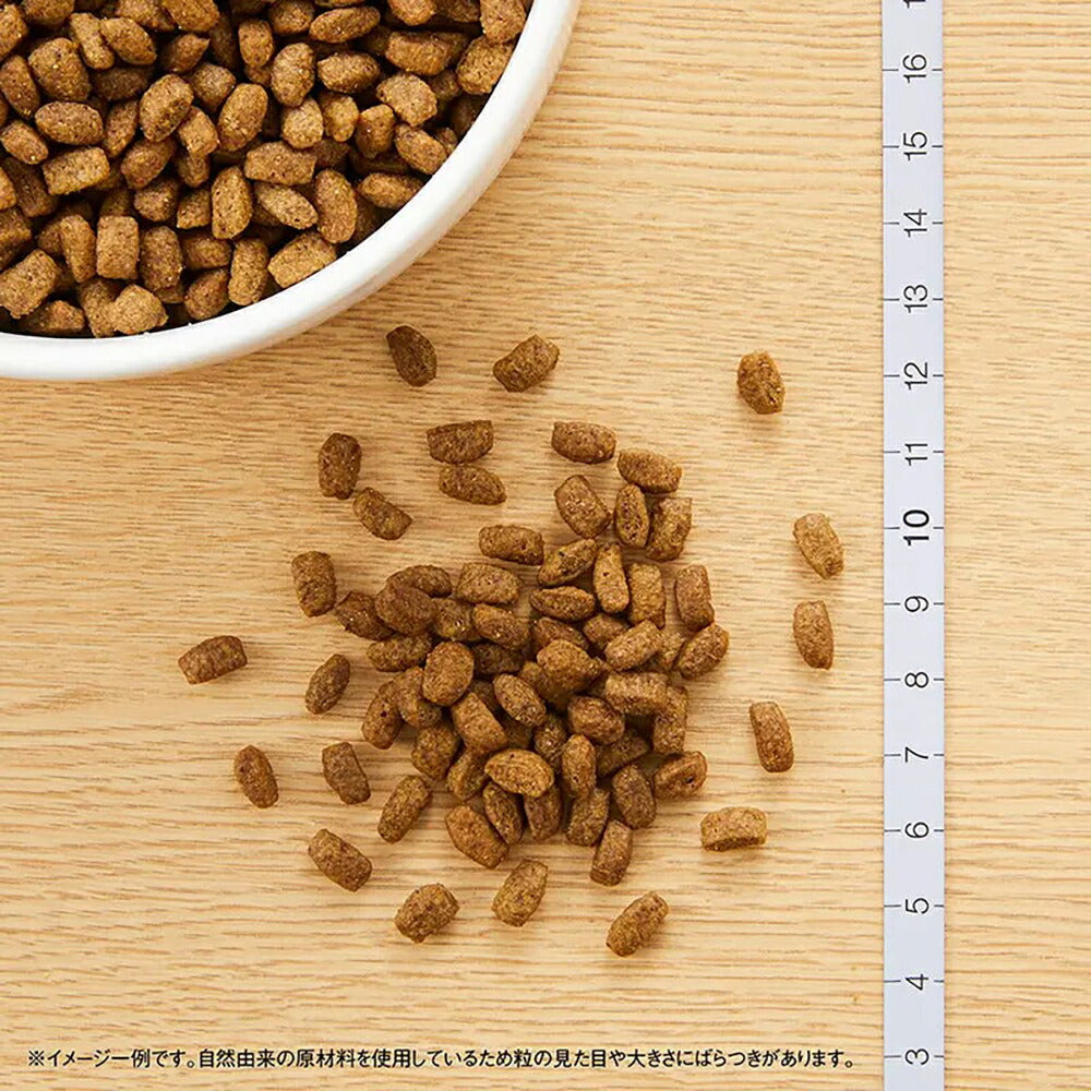 【2kg×2袋】ニュートロ シュプレモ 超小型犬用 成犬用 小粒 (犬・ドッグ)[正規品]