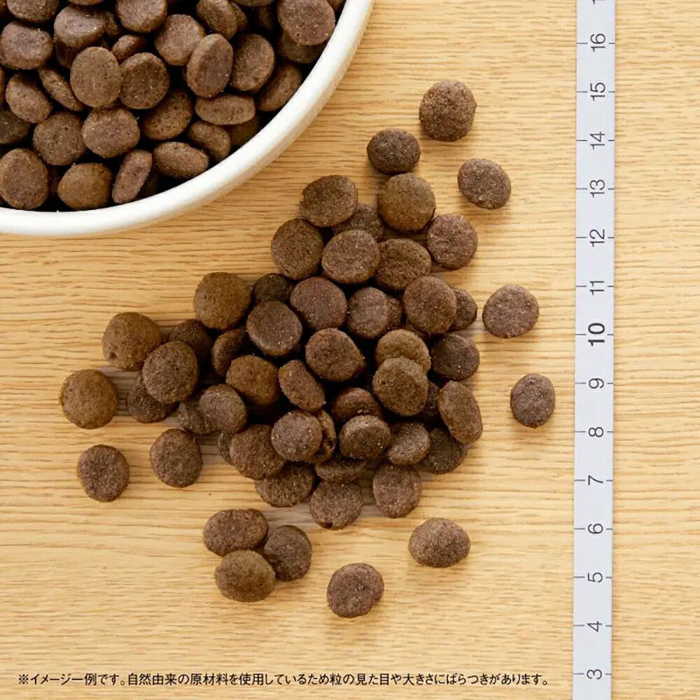 ニュートロ ワイルドレシピ 超小型犬～小型犬 成犬用 ビーフ 4kg (犬・ドッグ)[正規品]