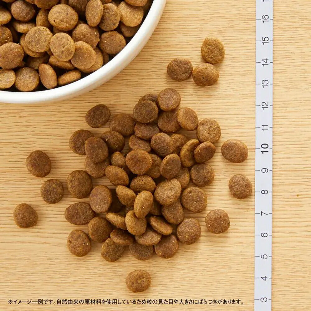 ニュートロ ワイルドレシピ 超小型犬～小型犬 成犬用 チキン 4kg (犬・ドッグ)[正規品]