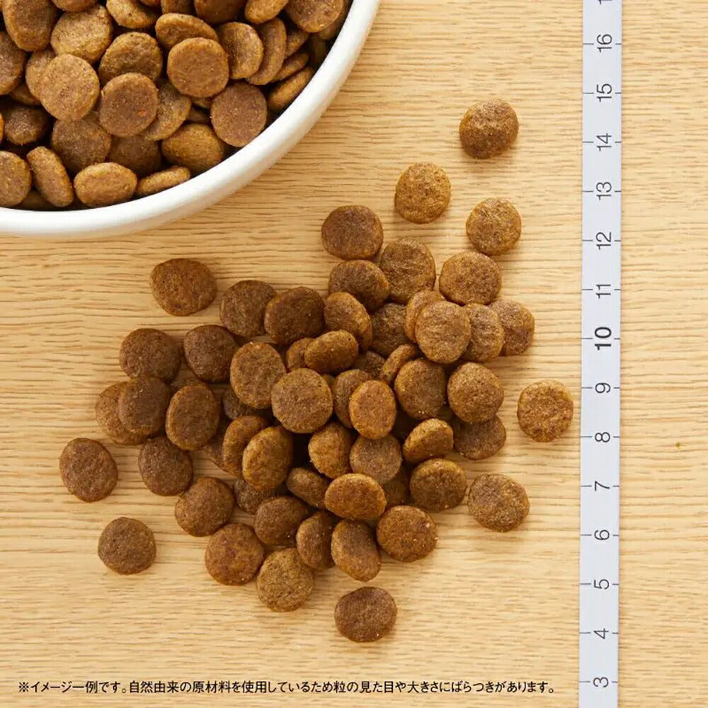 ニュートロ ワイルドレシピ 超小型犬～小型犬 成犬用 ラム 4kg (犬・ドッグ)[正規品]