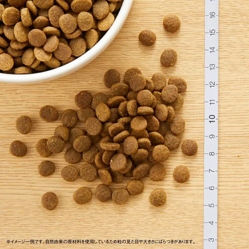 ニュートロ ワイルドレシピ 超小型犬～小型犬 成犬用 サーモン 800g (犬・ドッグ)[正規品]