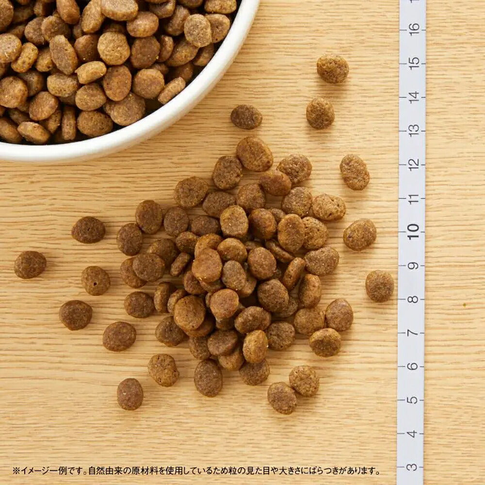 【4kg×3袋】ニュートロ ワイルドレシピ 超小型犬～小型犬 子犬用 ターキー (犬・ドッグ)[正規品]