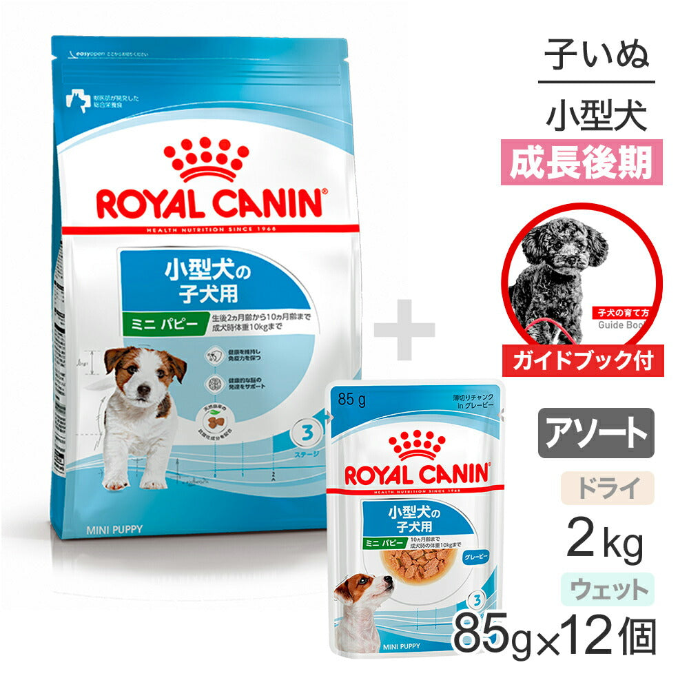 【ガイドブック付】子犬成長後期【はじめてセット】ロイヤルカナン SHN ミニ パピー ドライ 2kg×1 + ウェット 85g×12 (犬・ドッグ)[正規品]