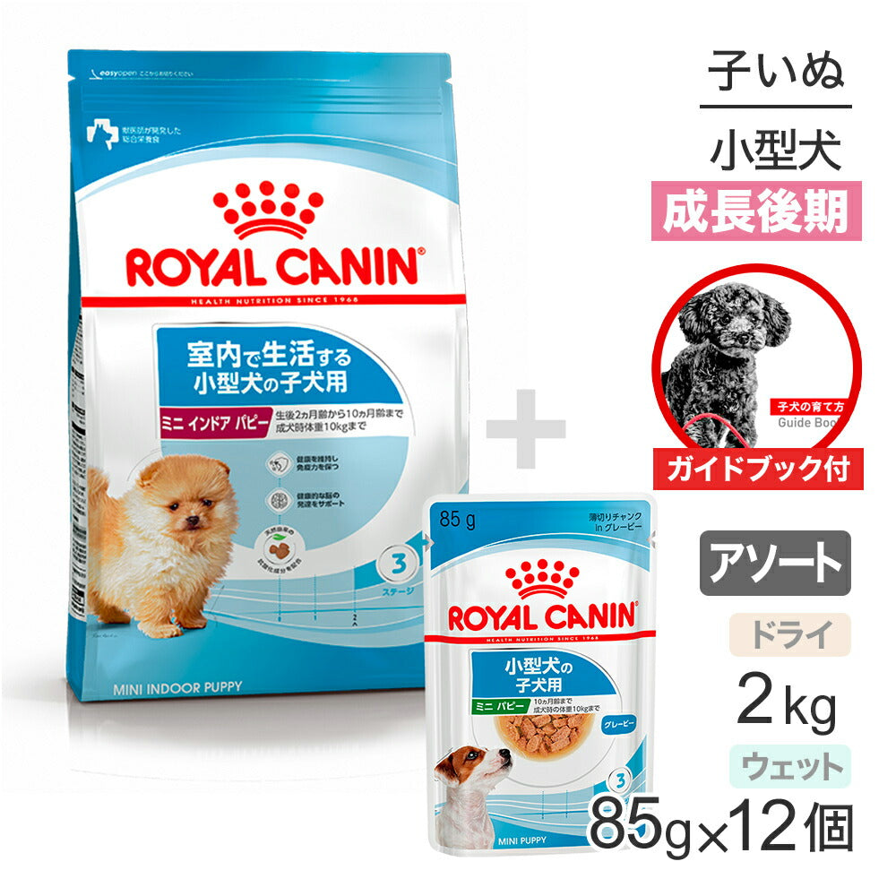 【ガイドブック付】子犬成長後期【はじめてセット】ロイヤルカナン SHN ミニ インドア パピー ドライ 2kg×1 + ウェット 85g×12 (犬・ドッグ)[正規品]