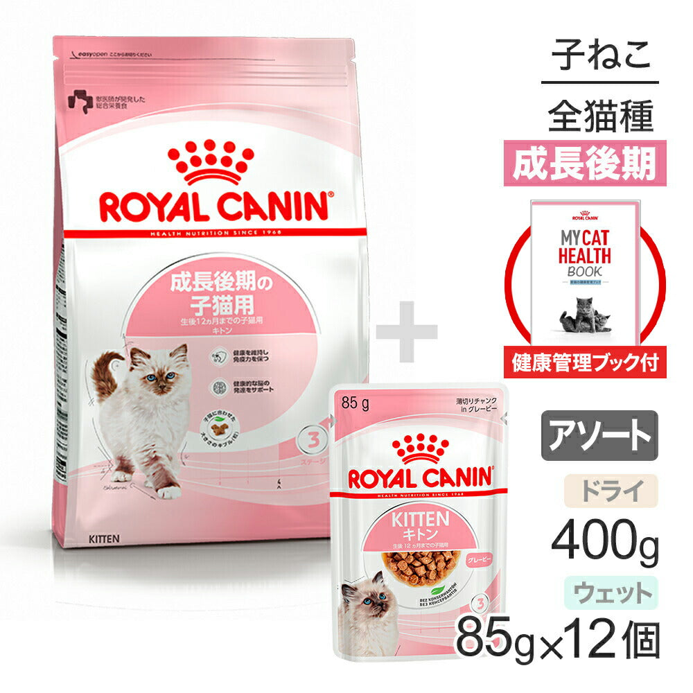 【健康管理ブック付】子猫成長後期【はじめてセット】ロイヤルカナン FHN キトン 子猫用 ドライ 400g×1 + ウェット グレービー85g×12 (猫・キャット)[正規品]