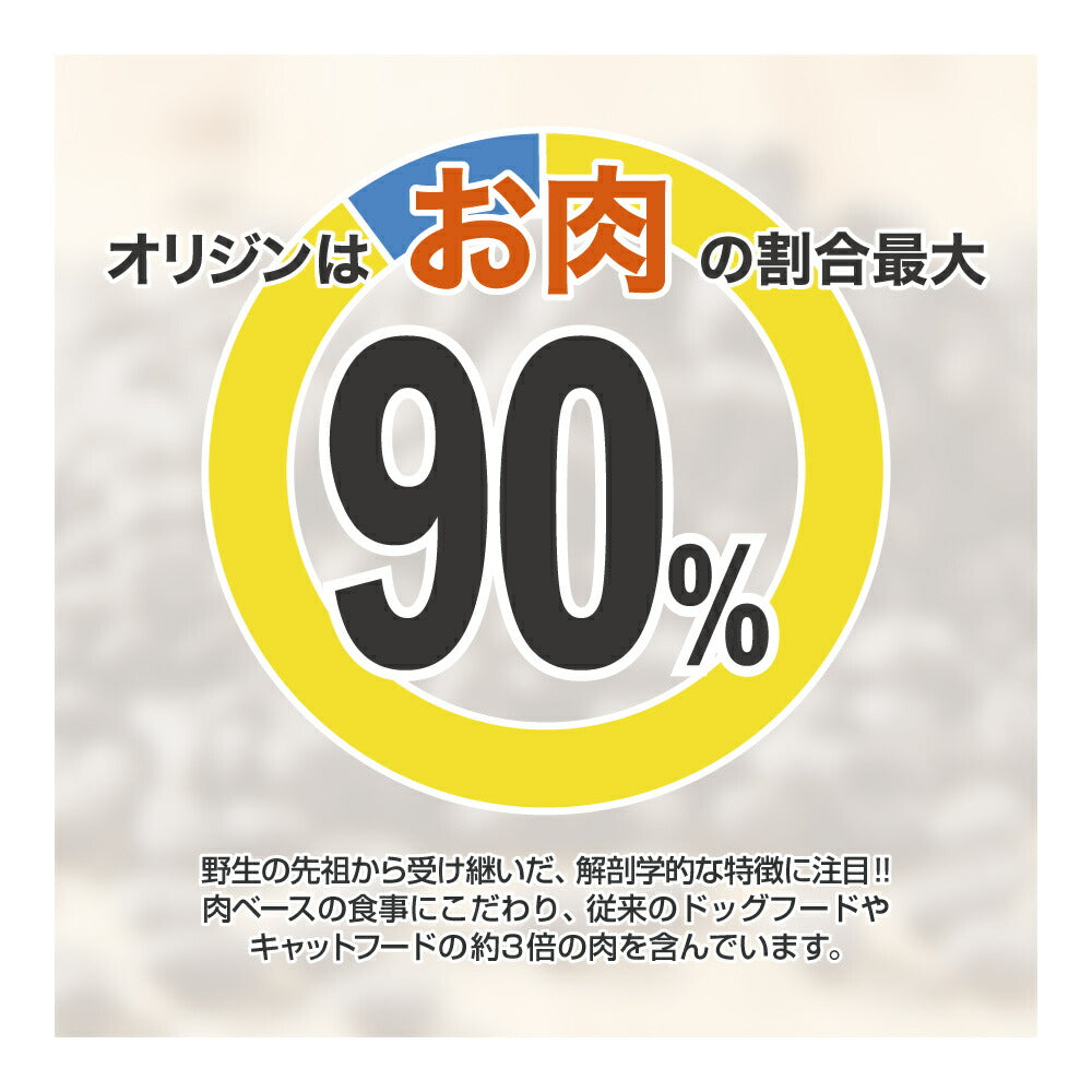 オリジン キトゥン 1.8kg (猫・キャット)[正規品]