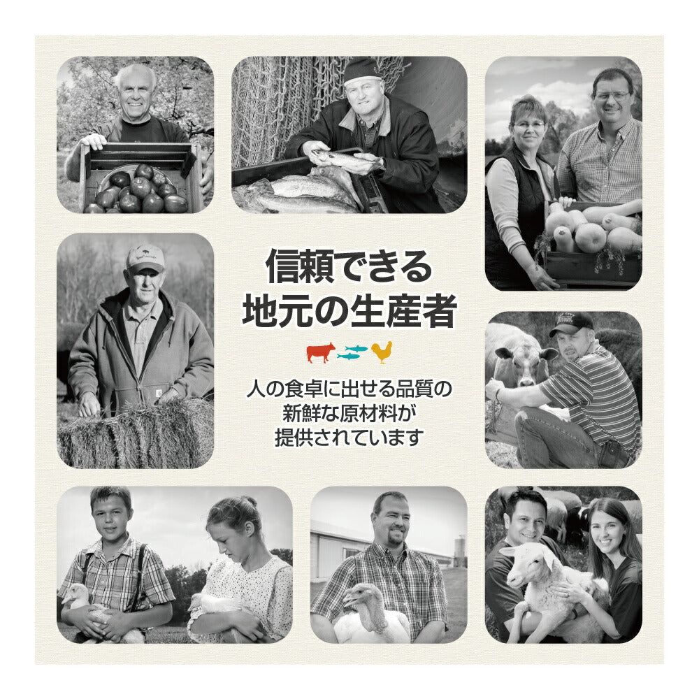 オリジン オリジナル 11.4kg (犬・ドッグ)[正規品]