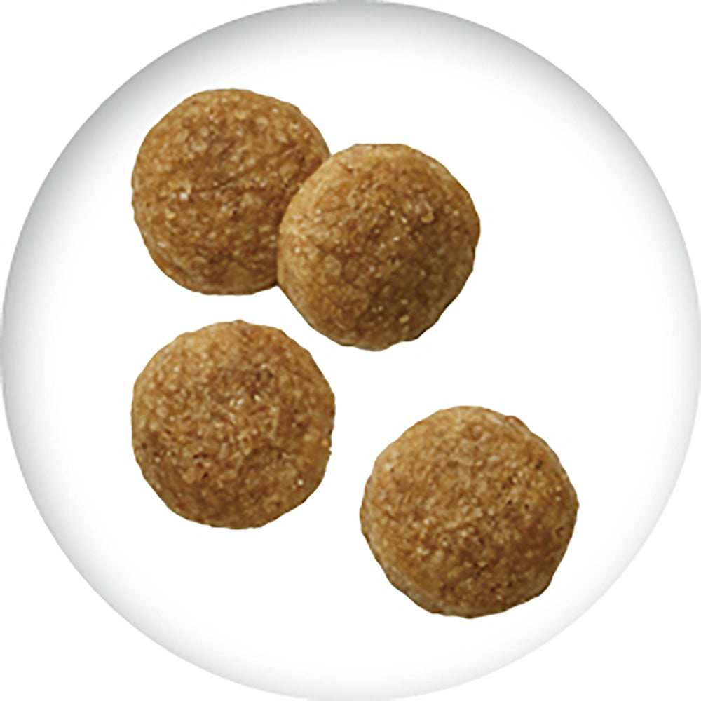 ペットライン JPスタイル 和の究み グレインフリー 1歳から チキン味 小粒 1.5kg (犬・ドッグ)