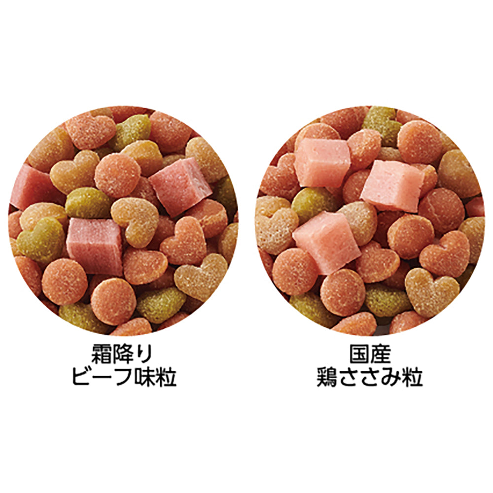 ペットライン プッチーヌ motto motto ソフト 11歳から 2種のアソート 800g (犬・ドッグ)