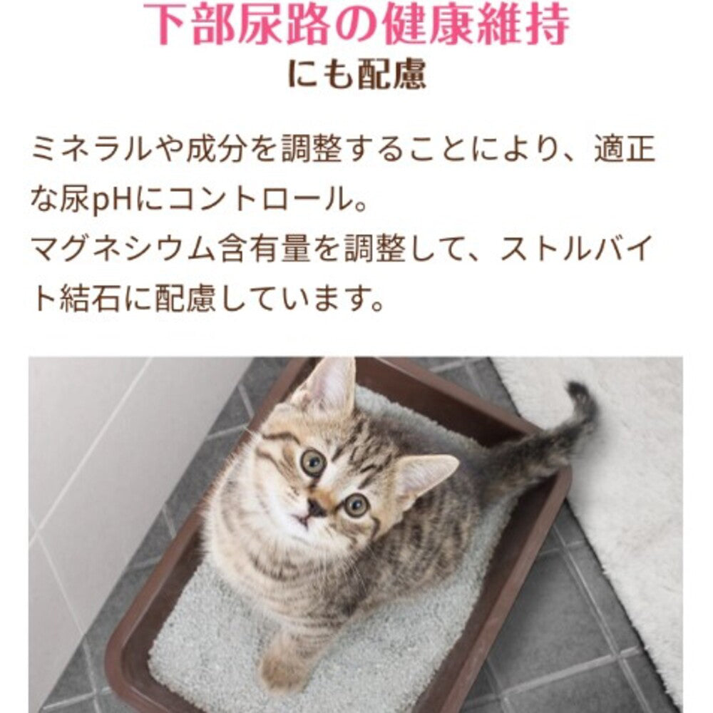 ペットライン メディファスアドバンス 関節・筋肉の健康維持 7歳頃から チキン＆フィッシュ味 1.15kg (猫・キャット)