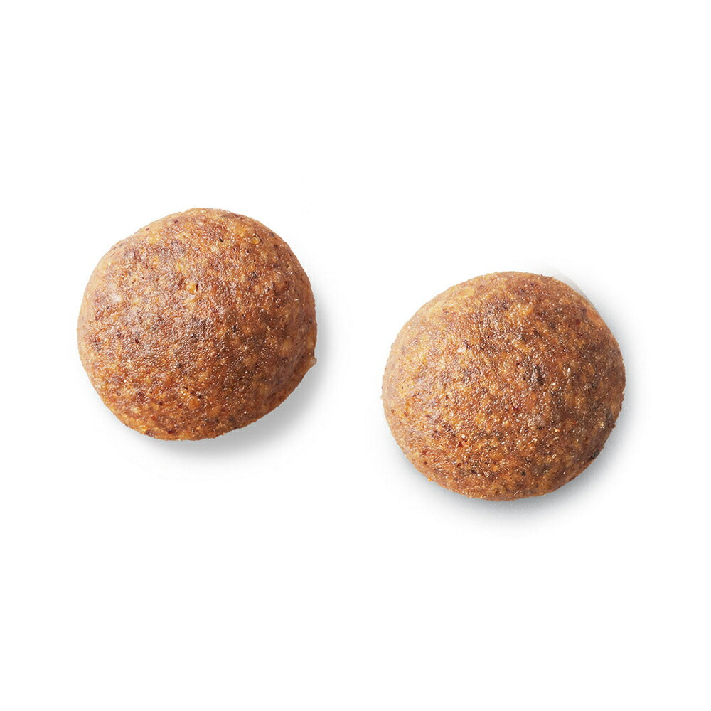 プロマネージ グレインフリー 成犬用 高たんぱくレシピ チキン 小粒 1.4kg (犬・ドッグ)[正規品]