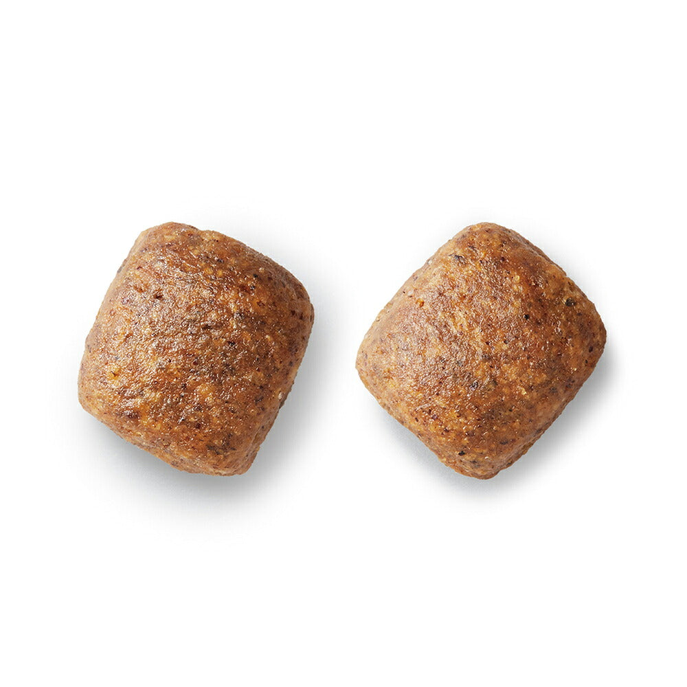 プロマネージ グレインフリー 成犬用 高たんぱくレシピ チキン 中粒 1.4kg (犬・ドッグ)[正規品]