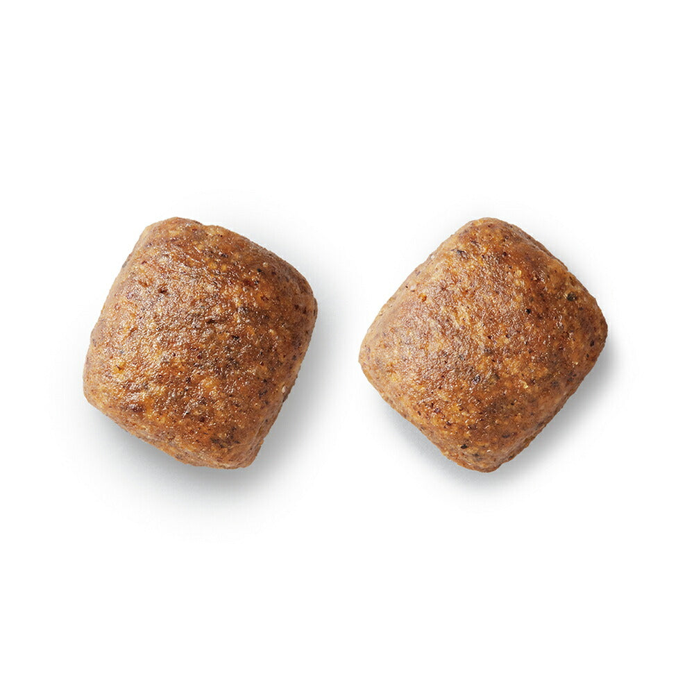 プロマネージ グレインフリー 成犬用 高たんぱくレシピ チキン 中粒 3.3kg (犬・ドッグ)[正規品]