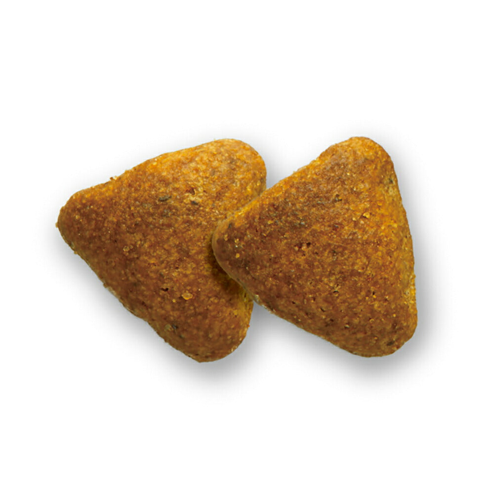 プロマネージ 成犬用 ゴールデンレトリーバー専用 4kg (犬・ドッグ)[正規品]