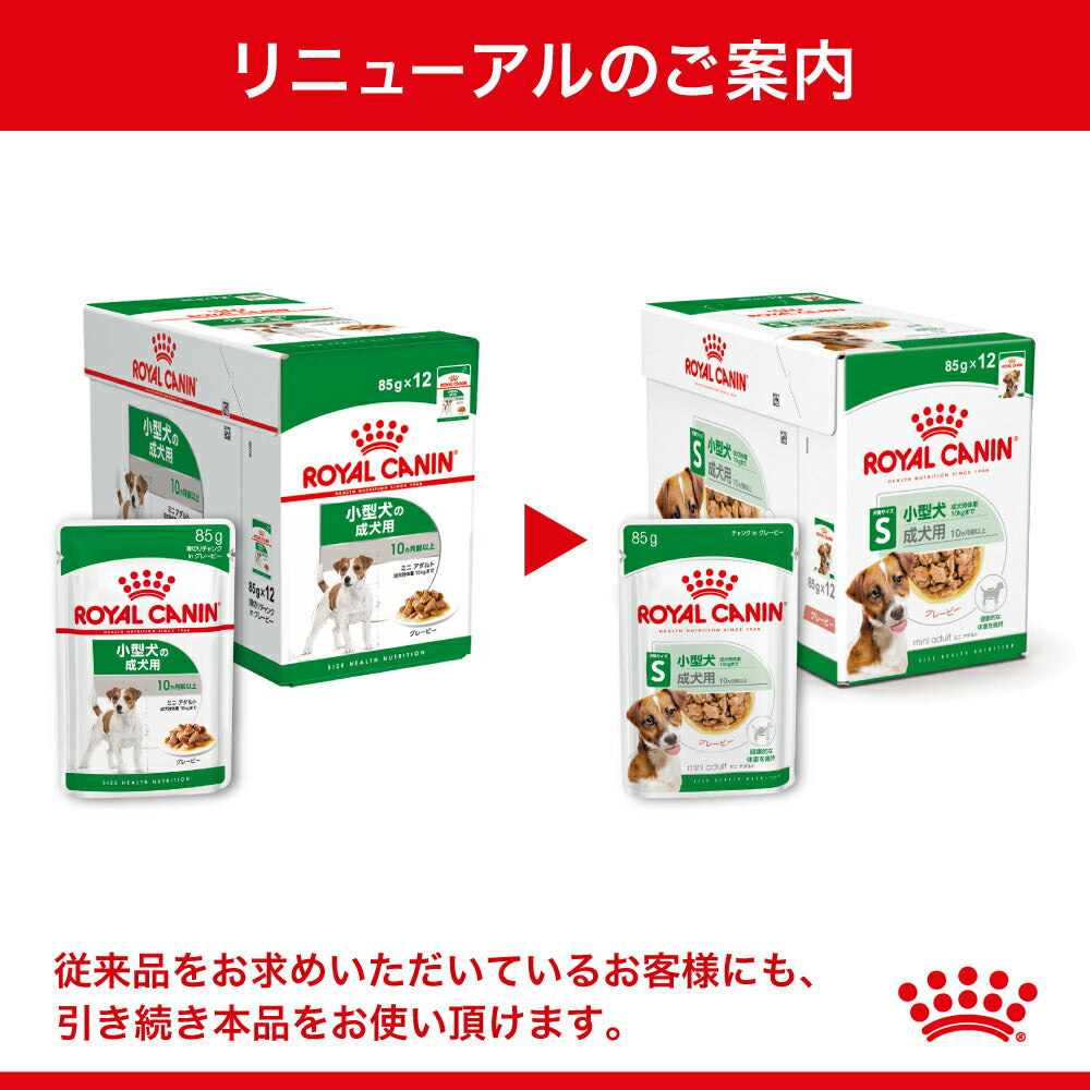 【メール便】【85g×6袋】ロイヤルカナン SHN-WET ミニアダルト 小型犬 成犬用 生後10ヵ月齢以上 パウチ (犬・ドッグ)[正規品]