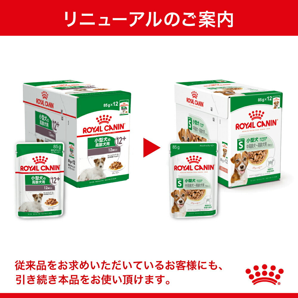 【85g×12袋】ロイヤルカナン SHN-WET ミニエイジング 12+ 小型犬 高齢犬用 12歳以上 パウチ (犬・ドッグ)[正規品]