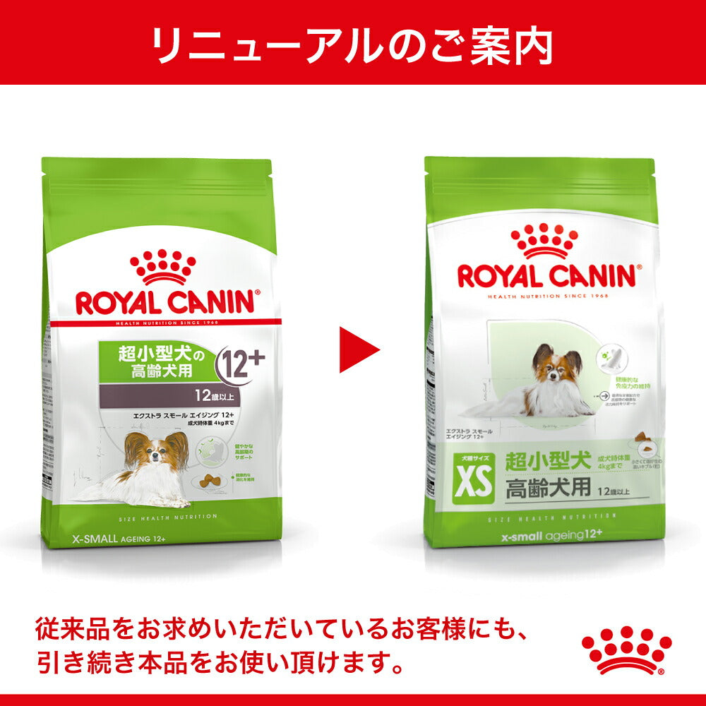 ロイヤルカナン SHN エクストラ スモール エイジング 12+ 超小型犬 高齢犬用 12歳以上 500g (犬・ドッグ)[正規品]