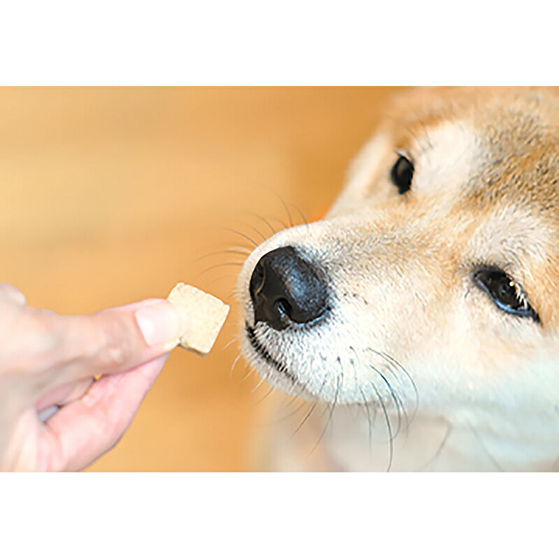 【メール便】サンユー研究所 G-BITS ジービッツ グルコサミントリーツ 75g 約30枚入り (犬・ドッグ)[M便 1/2]