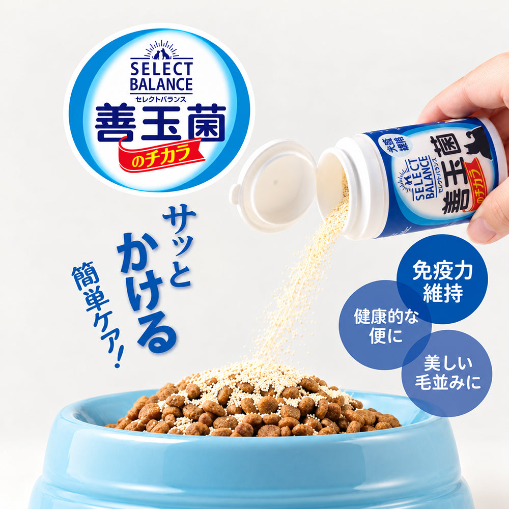 セレクトバランス サプリメント 善玉菌のチカラ 犬用 顆粒 腸活 300g (犬・ドッグ)