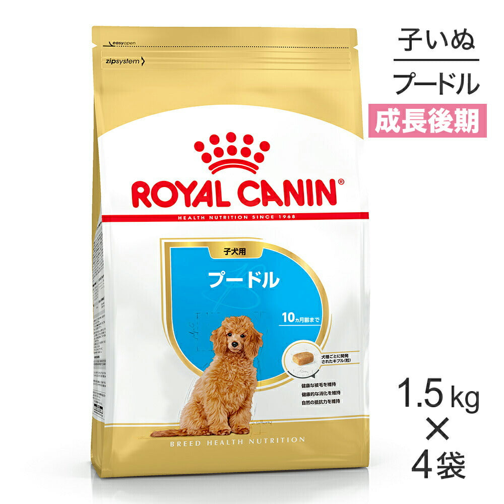 【1.5kg×4袋】ロイヤルカナン BHN プードル 子犬用 生後10ヵ月齢まで (犬・ドッグ)[正規品]