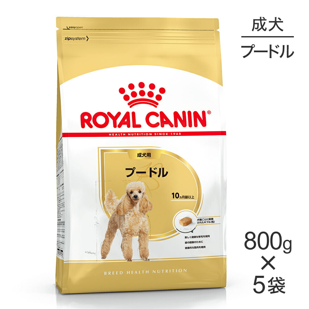 【800g×5袋】ロイヤルカナン BHN プードル 成犬用 生後10ヵ月齢以上 (犬・ドッグ)[正規品]