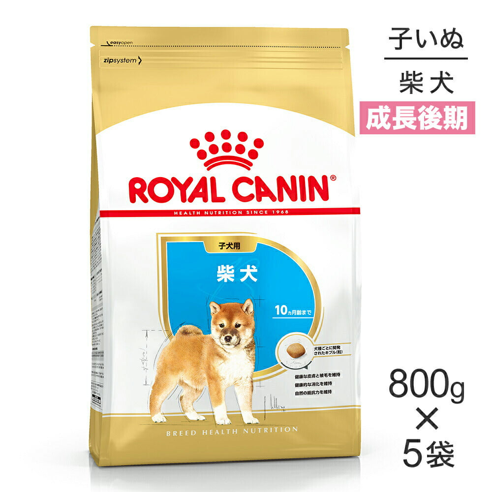【800g×5袋】ロイヤルカナン BHN 柴犬 子犬用 生後10ヵ月齢まで (犬・ドッグ)[正規品]