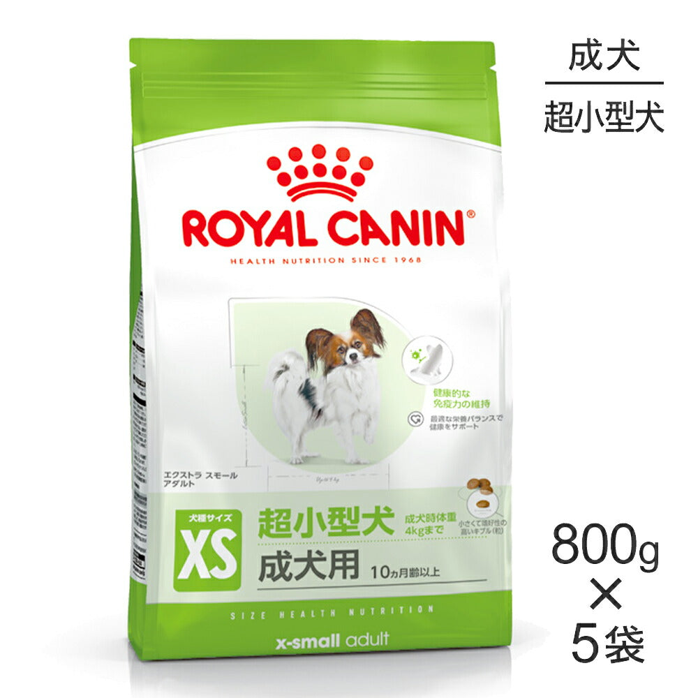 【800g×5袋】ロイヤルカナン SHN エクストラ スモール アダルト 超小型犬 成犬用 生後10ヵ月齢以上 (犬・ドッグ)[正規品]