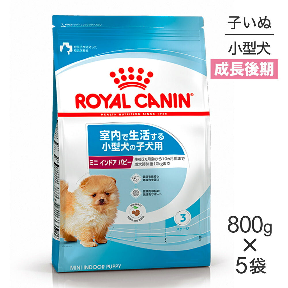 【800g×5袋】ロイヤルカナン SHN ミニ インドア パピー 室内で生活する小型犬 成長後期の子犬用 生後10ヵ月齢まで (犬・ドッグ)[正規品]