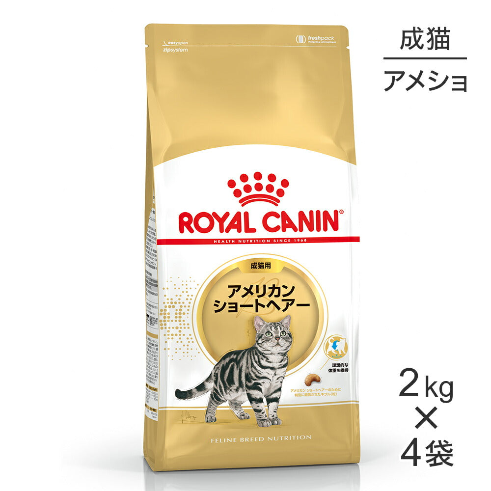 【2kg×4袋】ロイヤルカナン FBN アメリカン ショートヘアー 成猫用 生後12ヵ月齢から12歳まで (猫・キャット)[正規品]
