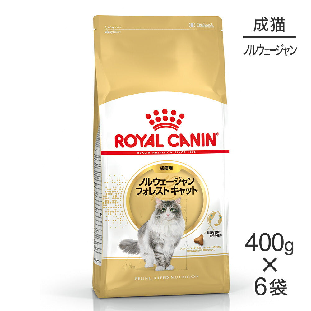 【400g×6袋】ロイヤルカナン FBN ノルウェージャン フォレスト キャット 成猫用 生後12ヵ月齢から12歳まで (猫・キャット)[正規品]
