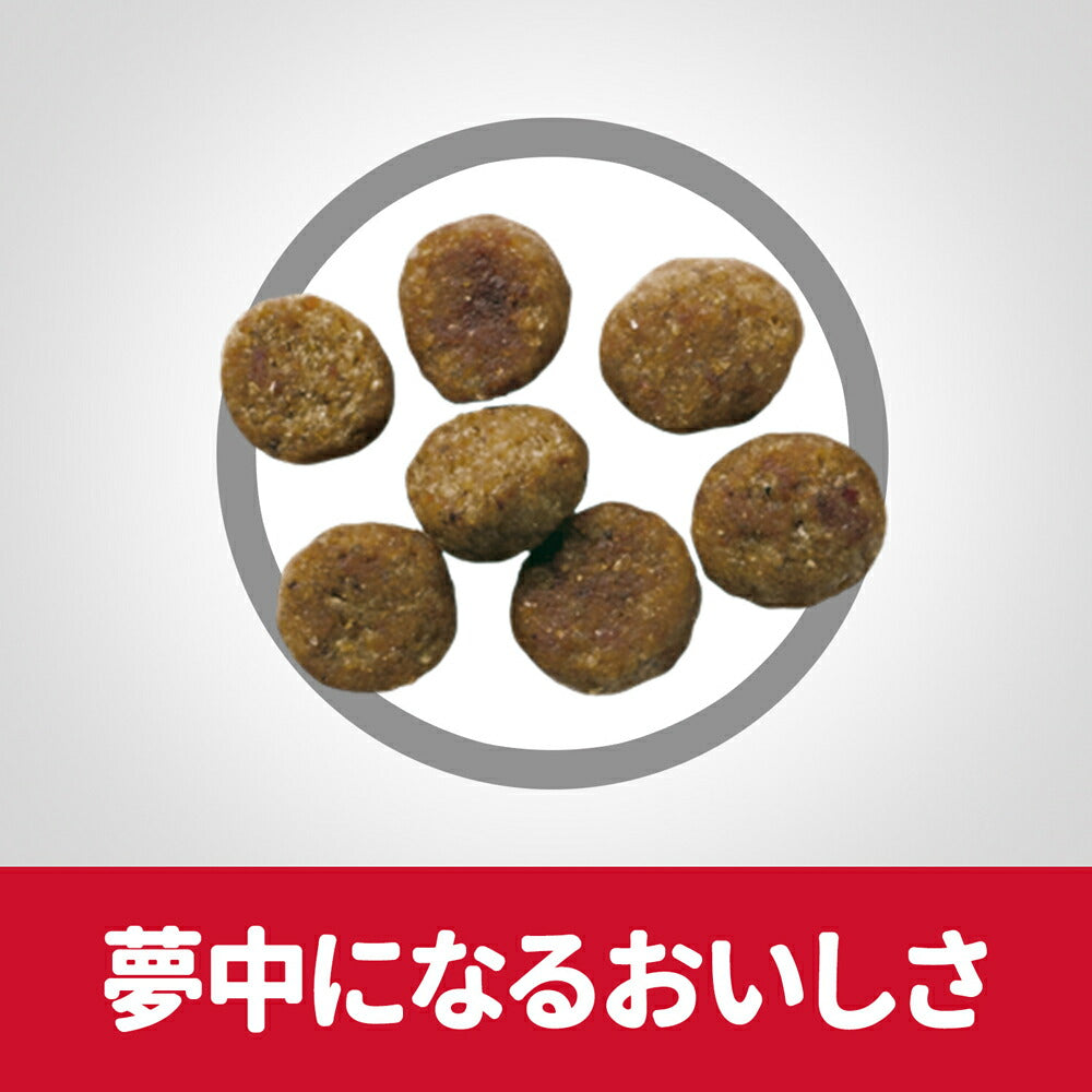 【3.3kg×2袋】ヒルズ サイエンス・ダイエット シニア アドバンスド 小粒 13歳以上 高齢犬用 チキン (犬・ドッグ)