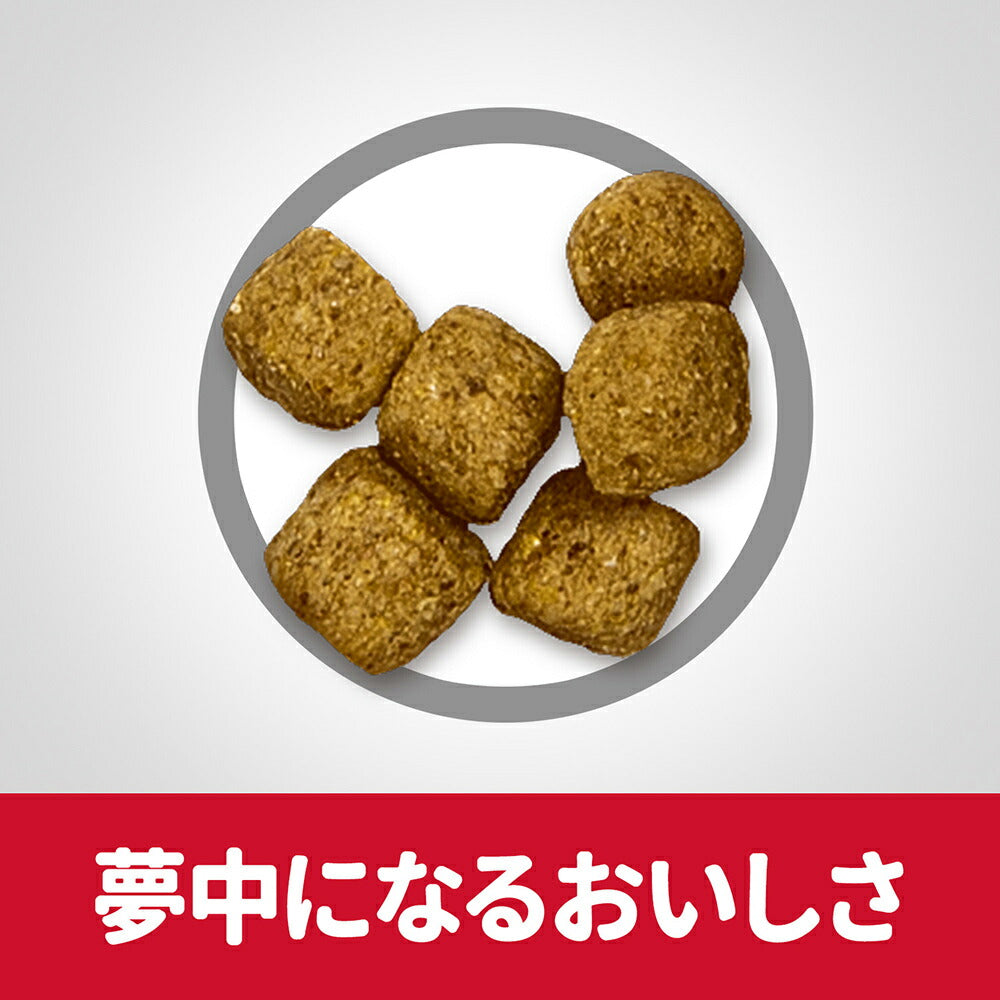 【6.5kg×2袋】ヒルズ サイエンス・ダイエット シニア ライト 小粒 7歳以上 肥満傾向の高齢犬用 チキン (犬・ドッグ)