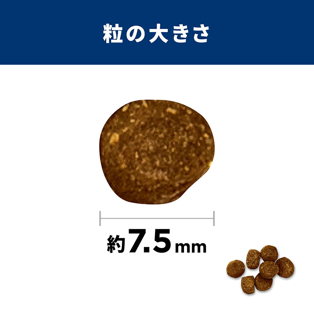 【6.5kg×2袋】ヒルズ サイエンス・ダイエット シニア プラス 小粒 10歳以上 高齢犬用 チキン 保存容器おまけ付 (犬・ドッグ)