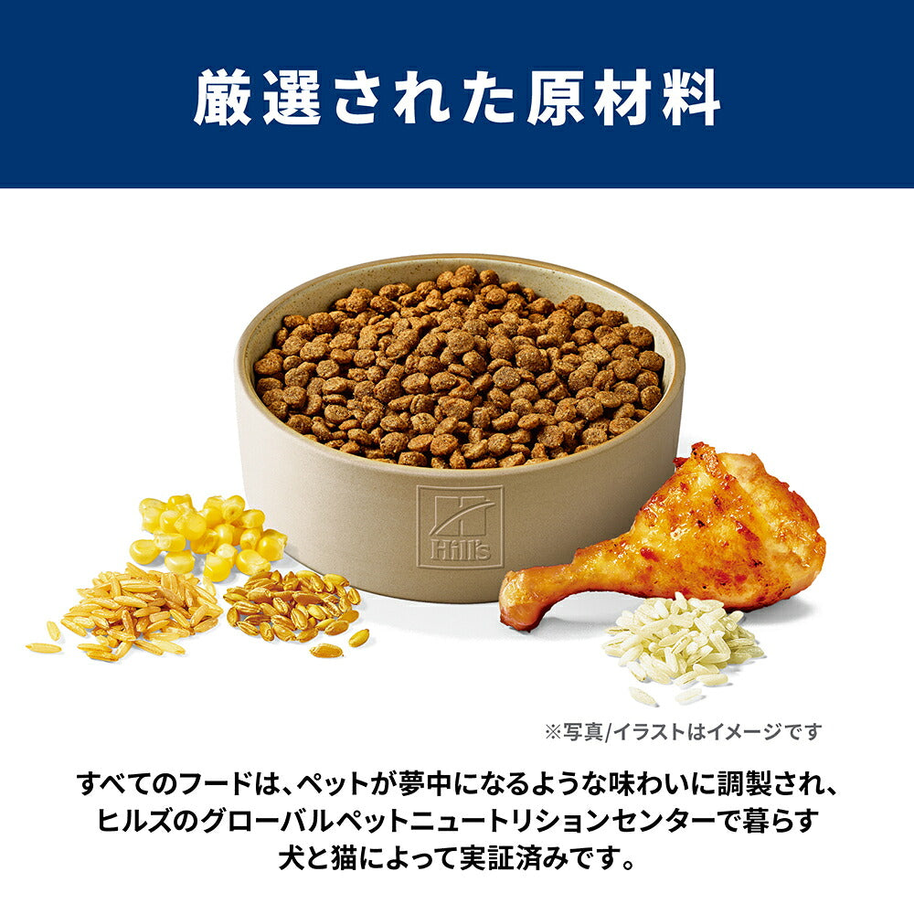 【6.5kg×2袋】ヒルズ サイエンス・ダイエット シニア プラス 小粒 10歳以上 高齢犬用 チキン 保存容器おまけ付 (犬・ドッグ)