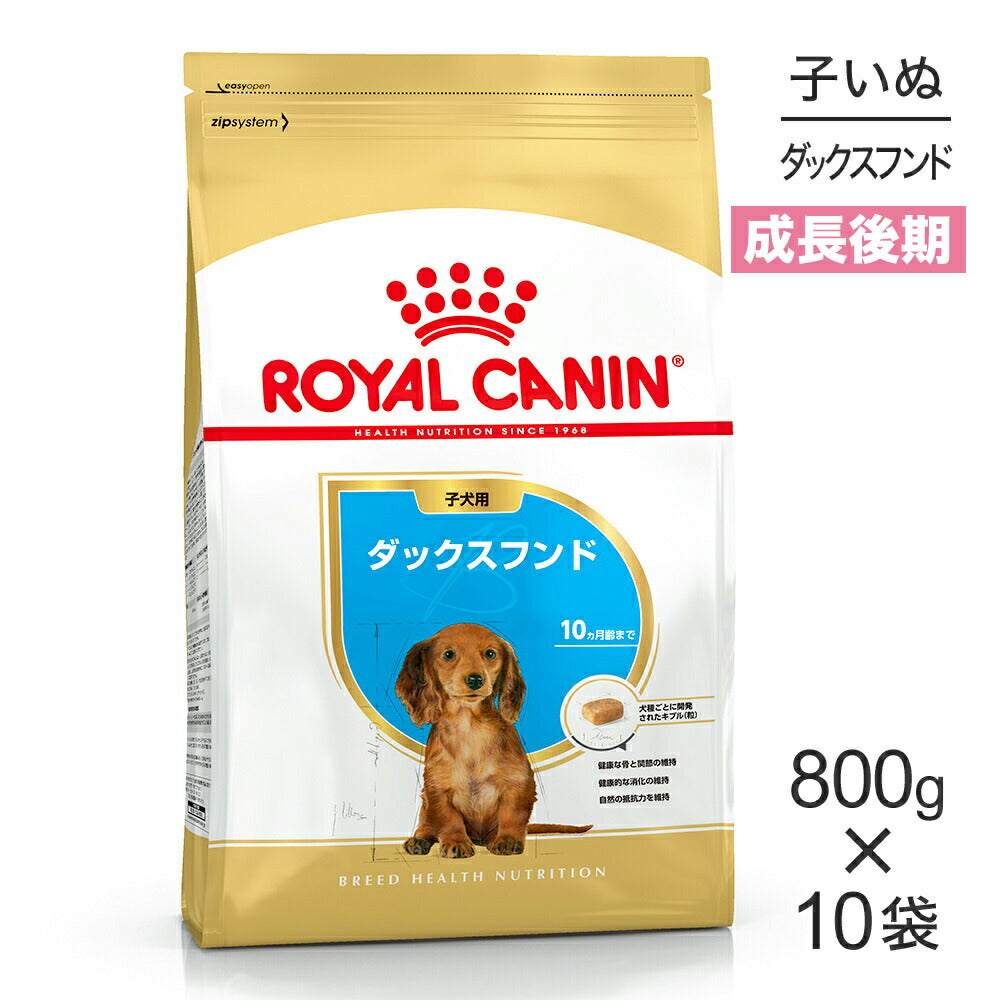 【800g×10袋】ロイヤルカナン BHN ダックスフンド 子犬用 生後10ヵ月齢まで (犬・ドッグ)[正規品]