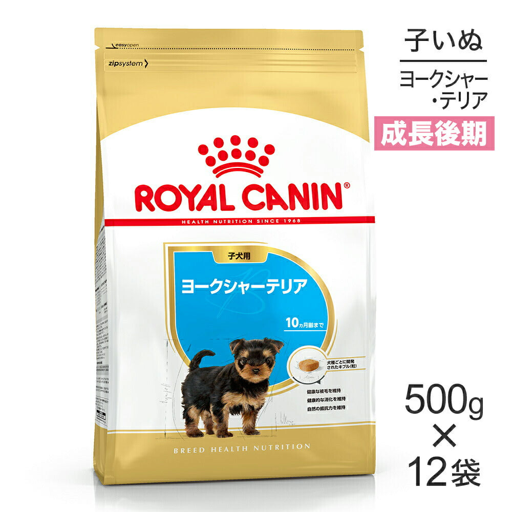 【500g×12袋】ロイヤルカナン BHN ヨークシャーテリア 子犬用 生後10ヵ月齢まで (犬・ドッグ)[正規品]