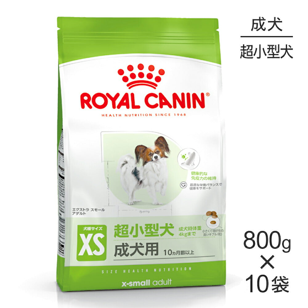 【800g×10袋】ロイヤルカナン SHN エクストラ スモール アダルト 超小型犬 成犬用 生後10ヵ月齢以上 (犬・ドッグ)[正規品]