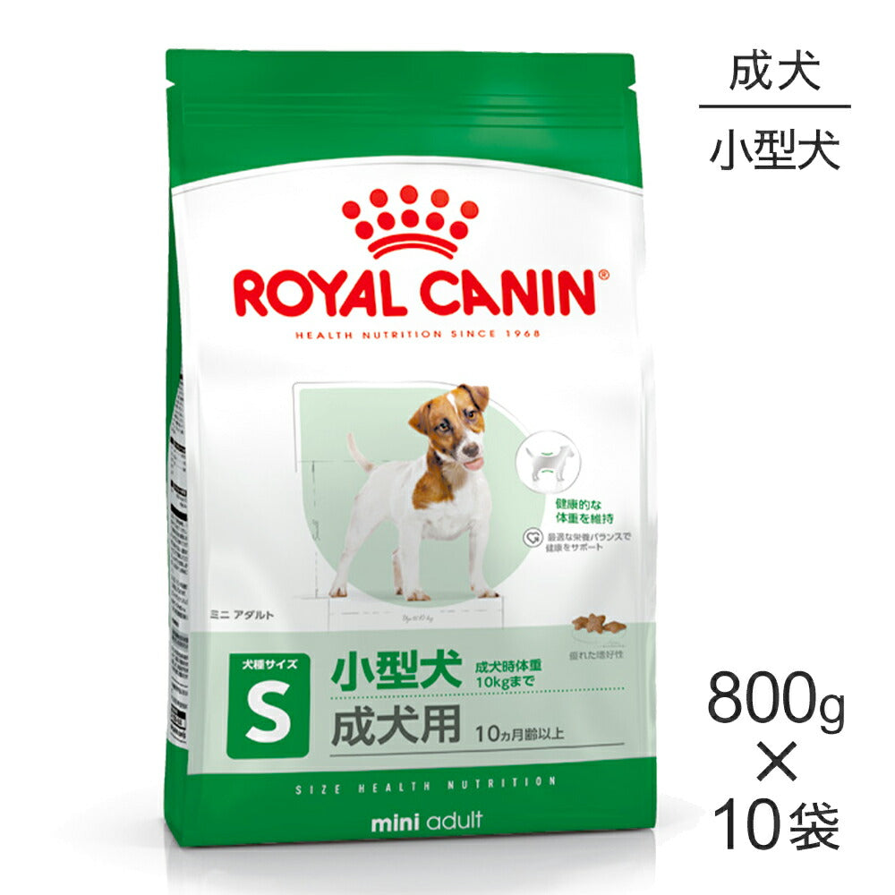 【800g×10袋】ロイヤルカナン SHN ミニ アダルト 小型犬 成犬用 生後10ヵ月齢以上 (犬・ドッグ)[正規品]