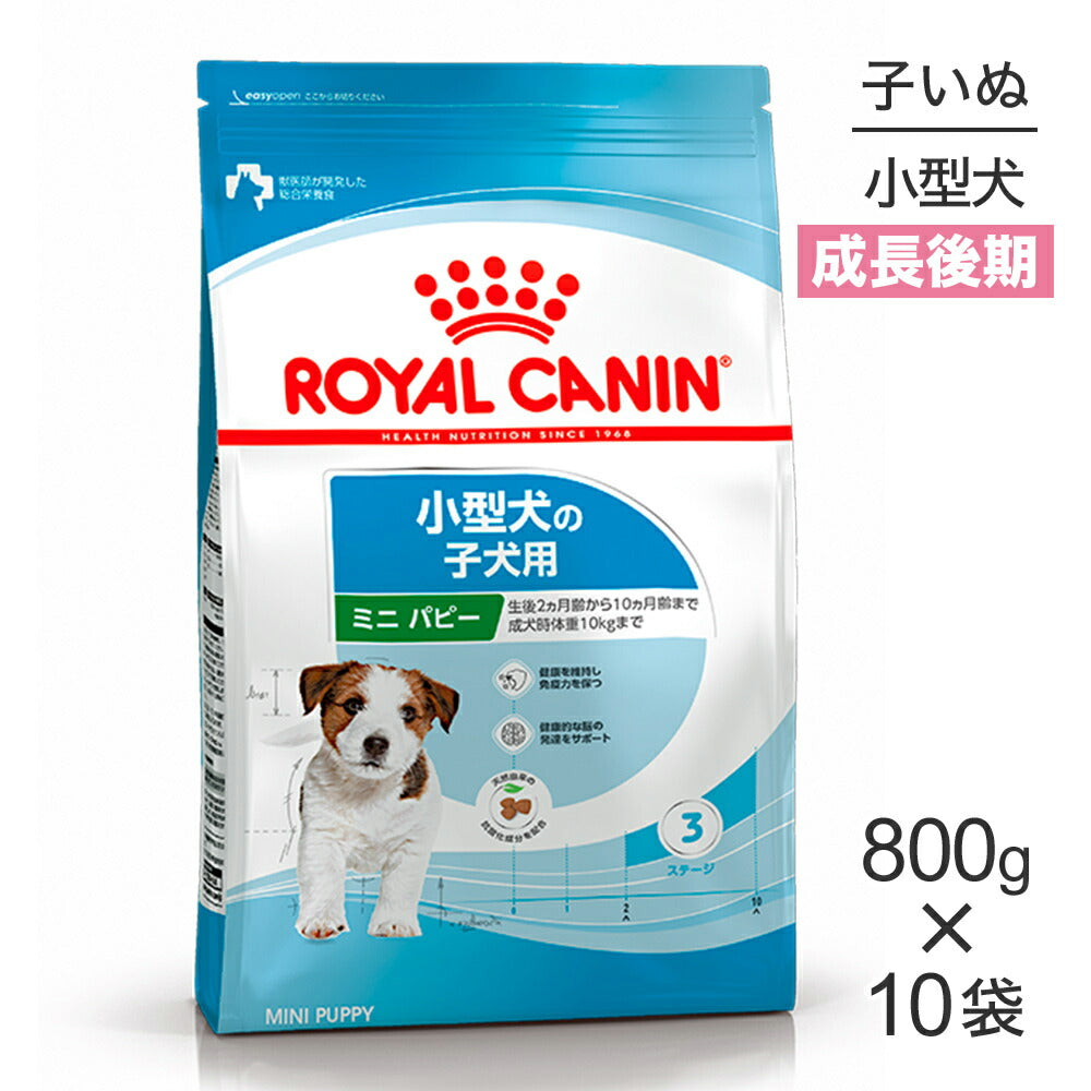 【800g×10袋】ロイヤルカナン SHN ミニ パピー 小型犬 成長後期の子犬用 生後10ヵ月齢まで (犬・ドッグ)[正規品]