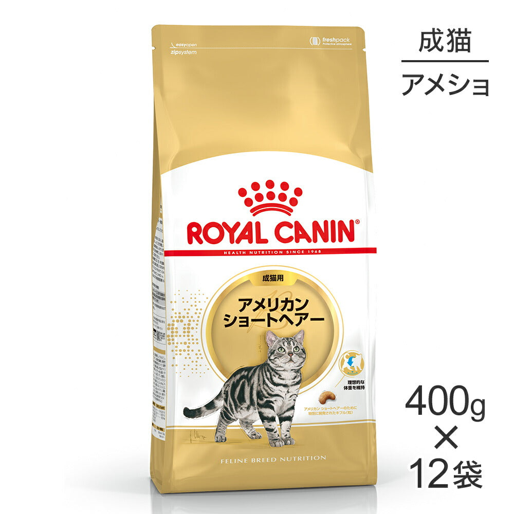 【400g×12袋】ロイヤルカナン FBN アメリカン ショートヘアー 成猫用 生後12ヵ月齢から12歳まで (猫・キャット)[正規品]