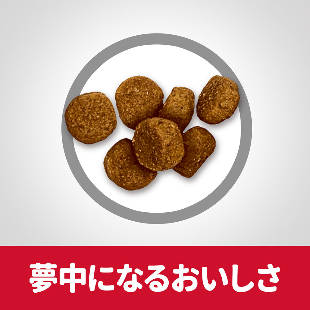 【6.5kg×2袋】ヒルズ サイエンス・ダイエット パピー 小粒 12ヶ月まで 子犬用/妊娠・授乳期の母犬にも チキン 保存容器おまけ付 (犬・ドッグ)