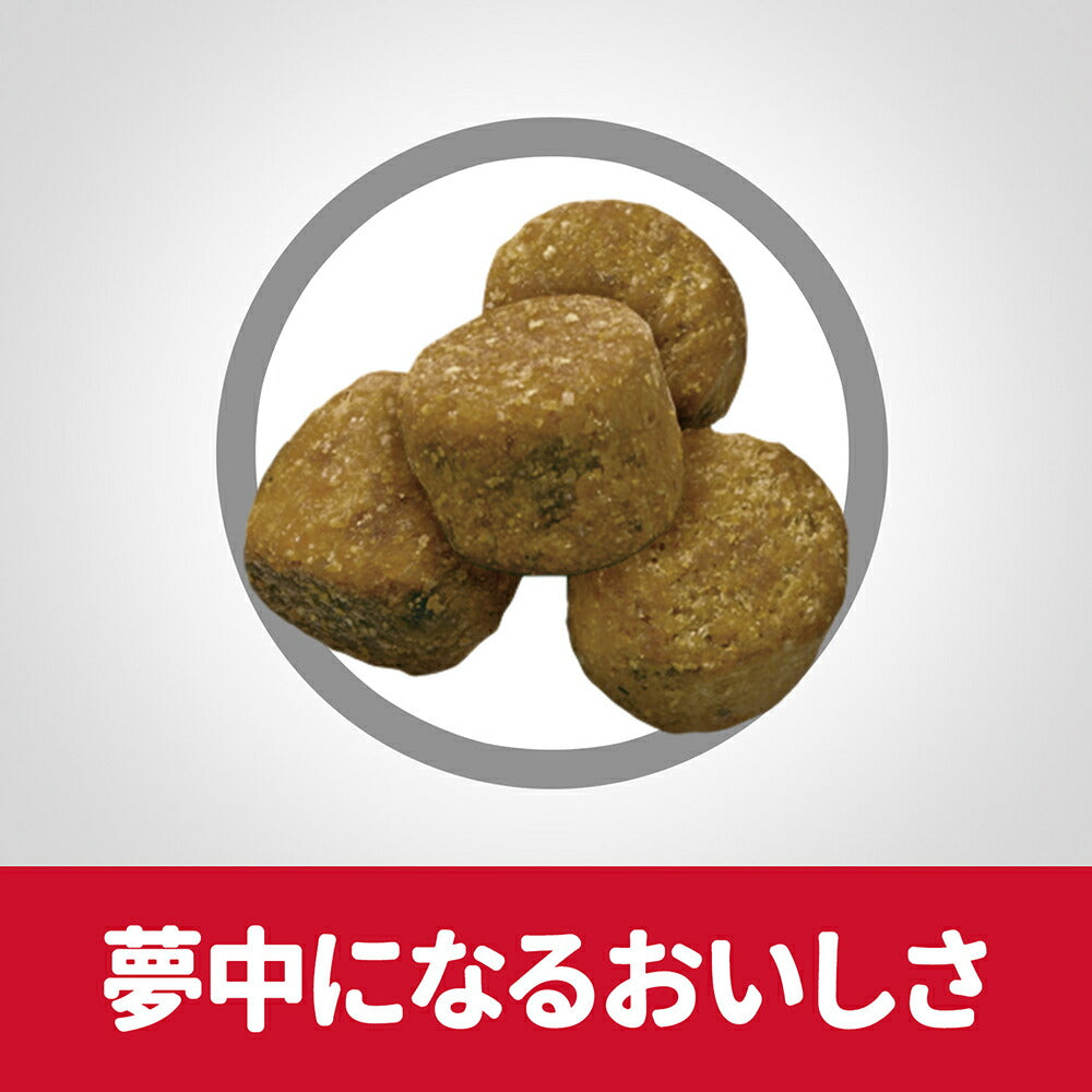 【6.5kg×2袋】ヒルズ サイエンス・ダイエット アダルト ライト 中粒 1~6歳 肥満傾向の成犬用 チキン 保存容器おまけ付 (犬・ドッグ)