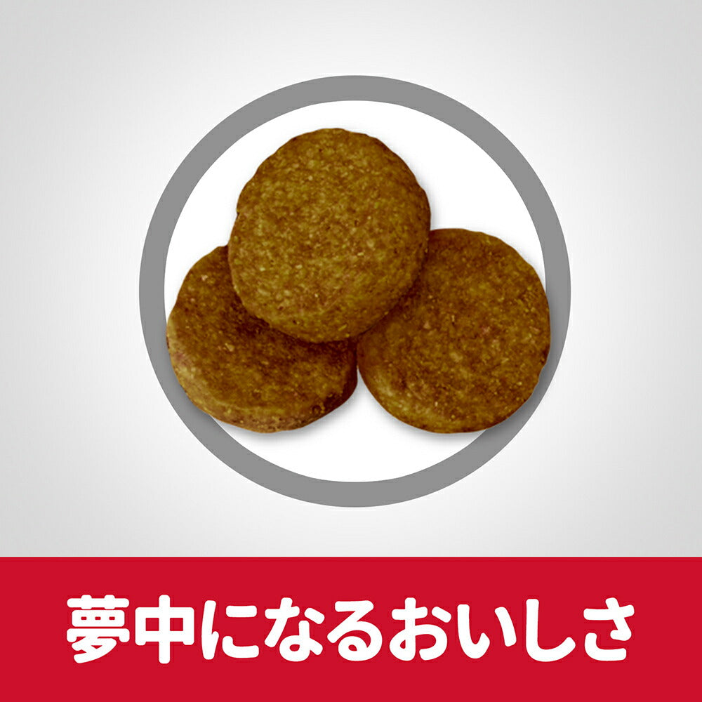 【12kg×2袋】ヒルズ サイエンス・ダイエット 大型犬用 アダルト ライト 1~5歳 肥満傾向の成犬用 チキン エコバッグおまけ付 (犬・ドッグ)