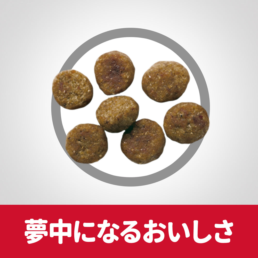 【6.5kg×2袋】ヒルズ サイエンス・ダイエット シニア アドバンスド 小粒 13歳以上 高齢犬用 チキン 保存容器おまけ付 (犬・ドッグ)