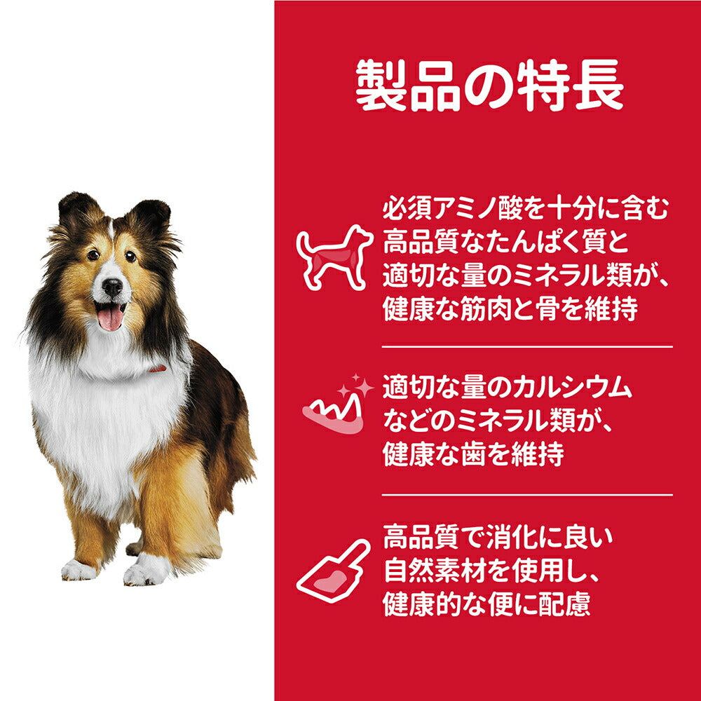 【6.5kg×2袋】ヒルズ サイエンス・ダイエット アダルト 中粒 1~6歳 成犬用 チキン エコバッグおまけ付 (犬・ドッグ)